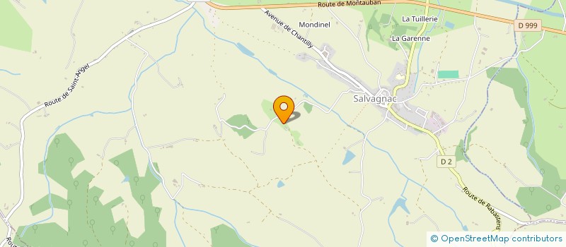 localisation de l'entreprise THETRYS  SALVAGNAC