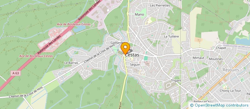 localisation de l'entreprise THIEMO PIZZA  CESTAS