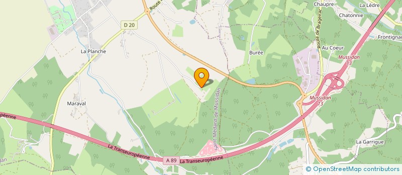 localisation de l'entreprise THIERRY ELODIE  SAINT-MEDARD-DE-MUSSIDAN