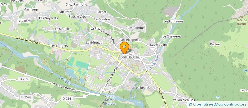localisation de l'entreprise THIERRY FROISSARD à SAMOENS