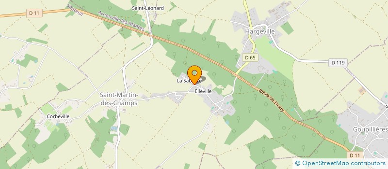 localisation de l'entreprise THIERRY HOFFMANN CONSULTING  SAINT-MARTIN-DES-CHAMPS