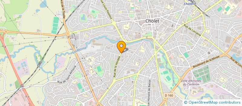 localisation de l'entreprise THIERRY MICHENEAU à CHOLET