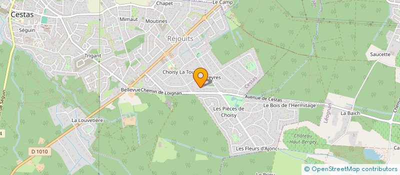 localisation de l'entreprise THIERS ALVES  CESTAS