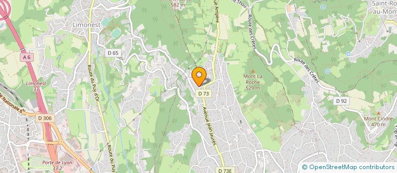 localisation de l'entreprise THIOLLIER CONSEILS PATRIMONIAUX  SAINT-DIDIER-AU-MONT-D'OR