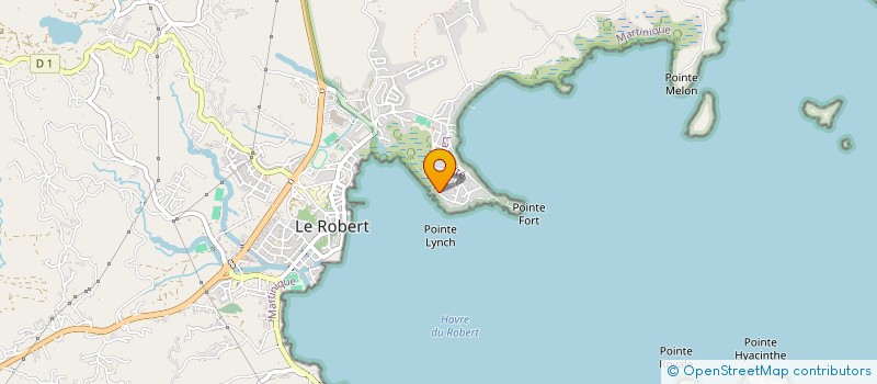 localisation de l'entreprise THIRDSKY  LE ROBERT