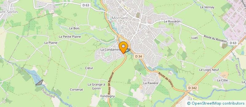 localisation de l'entreprise THIVENT JEAN PIERRE ET THIVENT MARTINE  MORNANT