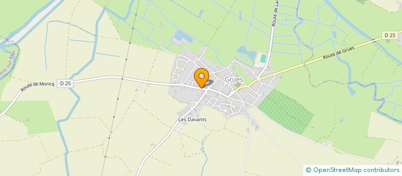 localisation de l'entreprise THIZON  GRUES