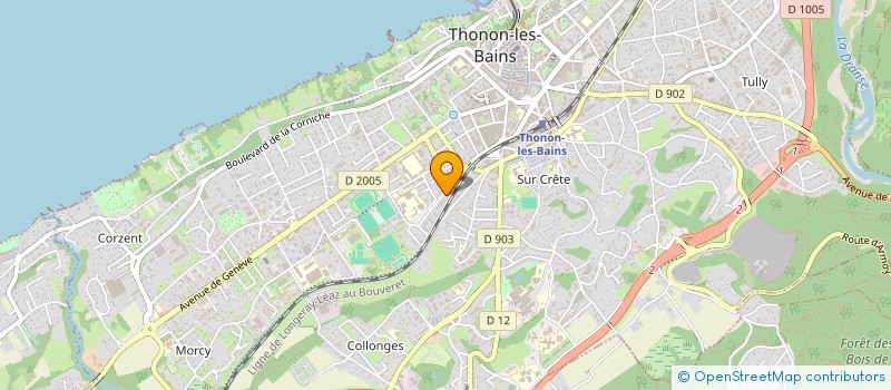 localisation de l'entreprise THM DRIVE à THONON-LES-BAINS