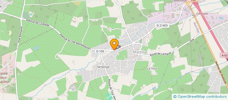 localisation de l'entreprise THOLOULY  MARTILLAC