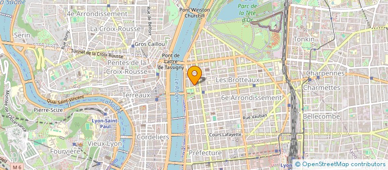 localisation de l'entreprise THOMAS WILLIS SERVICES SAS à LYON