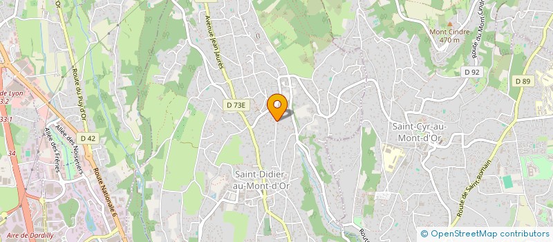 localisation de l'entreprise THOMASSIN  SAINT-DIDIER-AU-MONT-D'OR