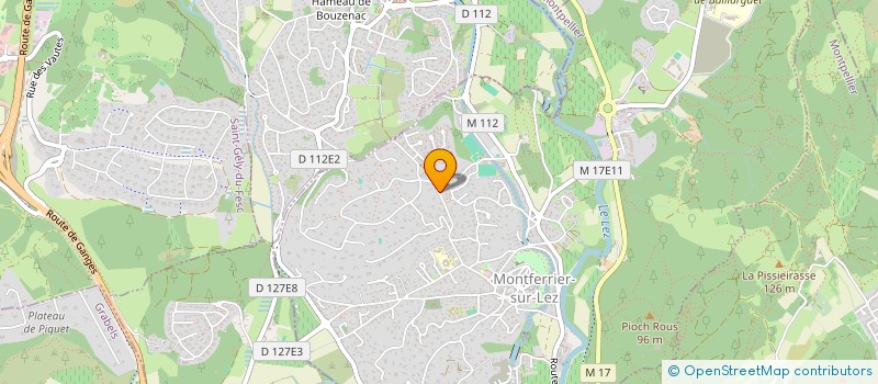 localisation de l'entreprise THOMASSUR  MONTFERRIER-SUR-LEZ