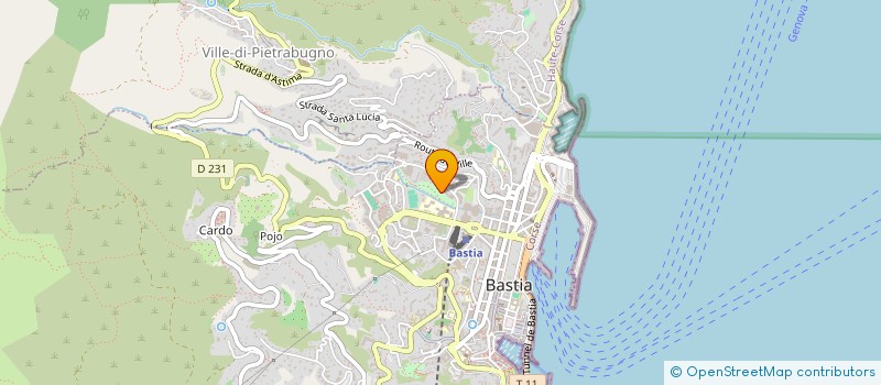 localisation de l'entreprise THOMAX à BASTIA