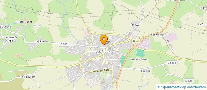 localisation de l'entreprise THOMAX  LES PIEUX