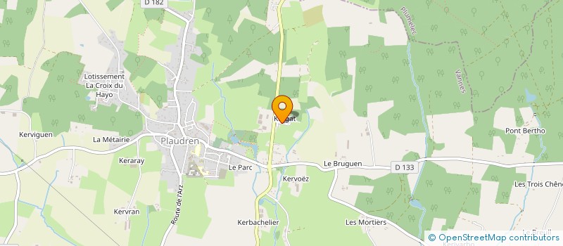 localisation de l'entreprise THOMAZO HOLDING  PLAUDREN