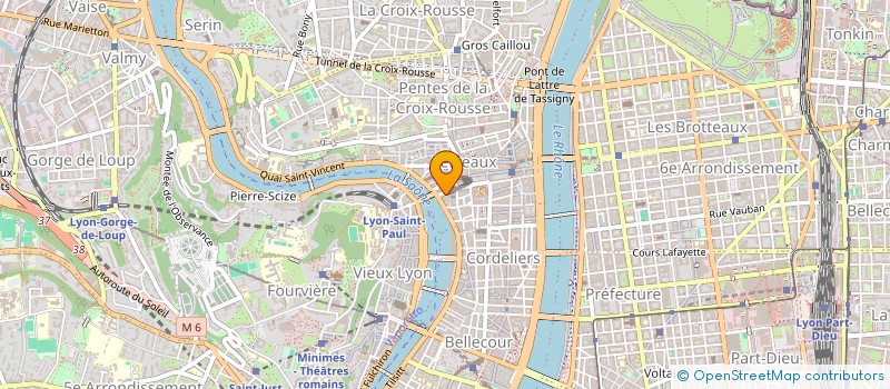localisation de l'entreprise THOR  LYON