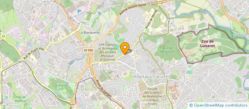 localisation de l'entreprise THOTEAM à MONTPELLIER