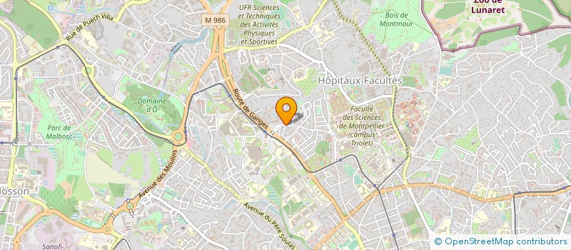 localisation de l'entreprise THUNDER OPTICS à MONTPELLIER