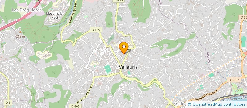 localisation de l'entreprise THURIER IND  VALLAURIS