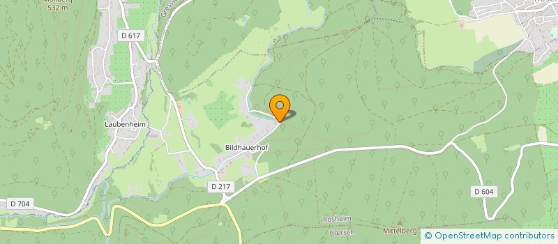 localisation de l'entreprise THYALE  ROSHEIM