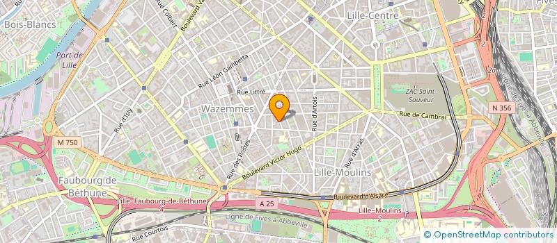 localisation de l'entreprise THYLGAMES à LILLE