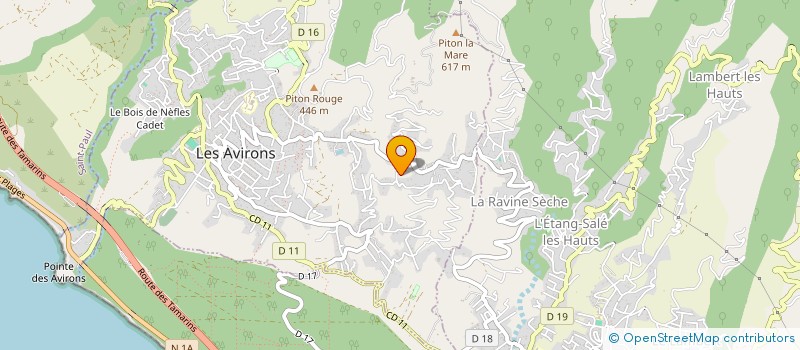 localisation de l'entreprise TI DOUDOU  LES AVIRONS