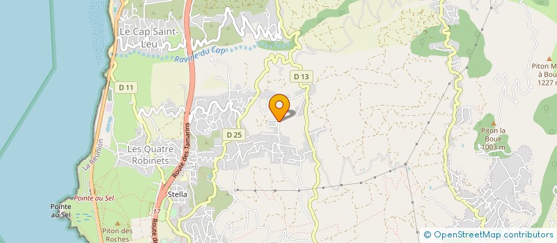 localisation de l'entreprise TI PUNCH  SAINT-LEU