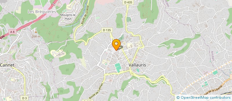 localisation de l'entreprise TIJINI SOLTAN à VALLAURIS