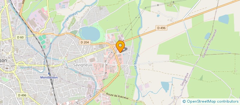 localisation de l'entreprise TIKIMMO FAMILY  SAVIGNEUX