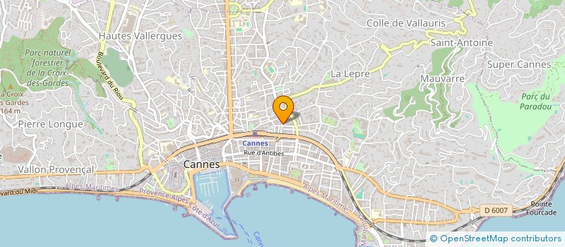 localisation de l'entreprise TIME CAPITAL INTERNATIONAL FRANCE à CANNES
