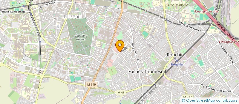 localisation de l'entreprise TINGIS PRIMEURS  FACHES-THUMESNIL