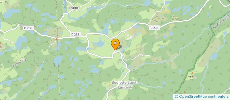 localisation de l'entreprise TINY DES ETANGS  BEULOTTE-SAINT-LAURENT