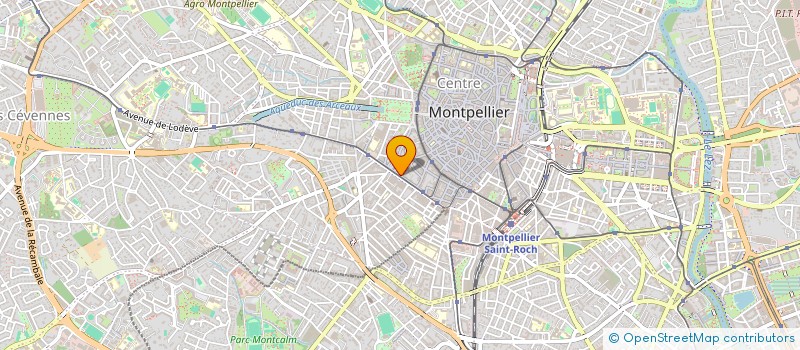 localisation de l'entreprise TIZI COIFFURE à MONTPELLIER