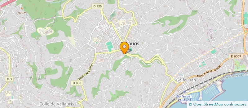 localisation de l'entreprise TLICH FRERES CLOISONS ISOLATION à VALLAURIS