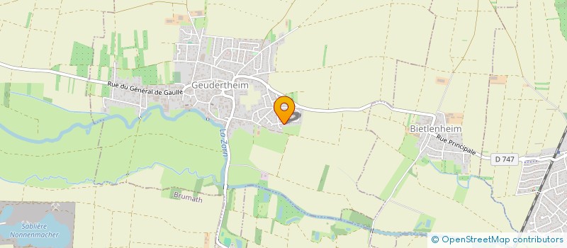 localisation de l'entreprise TN SERVICES  GEUDERTHEIM