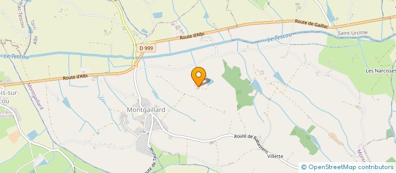 localisation de l'entreprise TOFOS  MONTGAILLARD