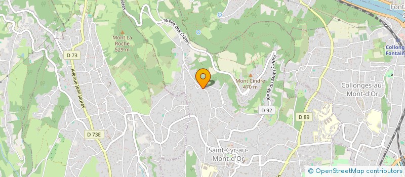 localisation de l'entreprise TOGOJU  SAINT-CYR-AU-MONT-D'OR