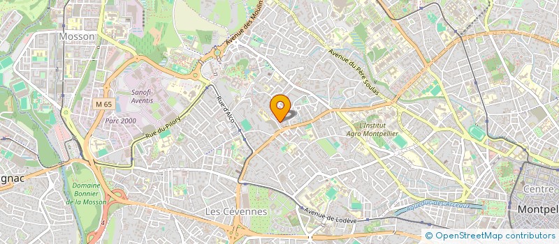localisation de l'entreprise TOKY FALAKY à MONTPELLIER