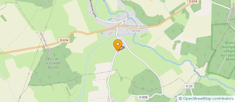 localisation de l'entreprise TOM ET NATHAN FAUSTINELLI  MONCEL-SUR-SEILLE