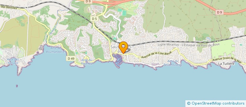 localisation de l'entreprise TOM MANON BARBE TRANSPORT  SAUSSET-LES-PINS