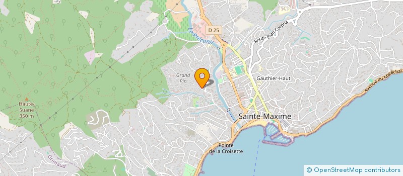 localisation de l'entreprise TOMANON à SAINTE-MAXIME