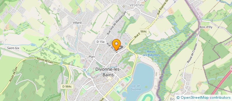 localisation de l'entreprise TOMASINOFARMS  DIVONNE-LES-BAINS