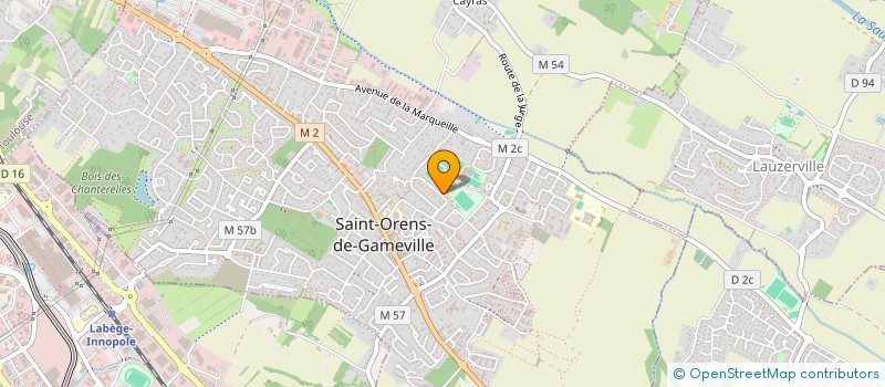 localisation de l'entreprise TONG INVEST à SAINT-ORENS-DE-GAMEVILLE