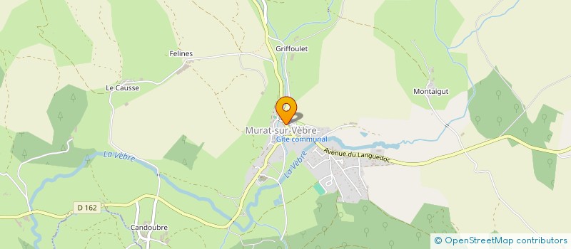 localisation de l'entreprise TONNOILLE MULTISERVICES  MURAT-SUR-VEBRE