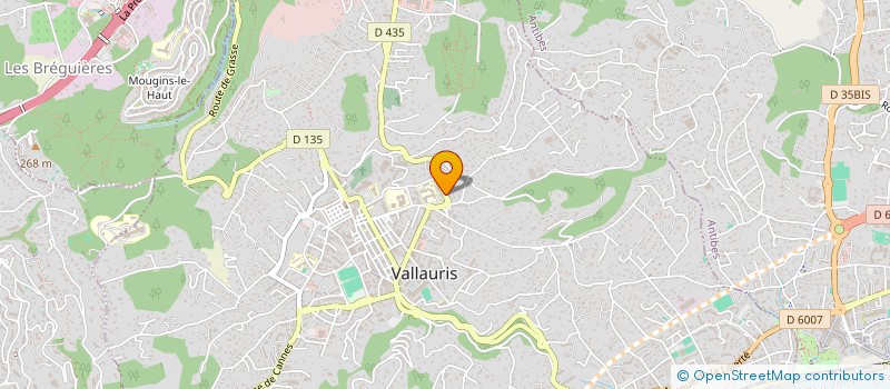 localisation de l'entreprise TONTI CONSTRUCTIONS à VALLAURIS