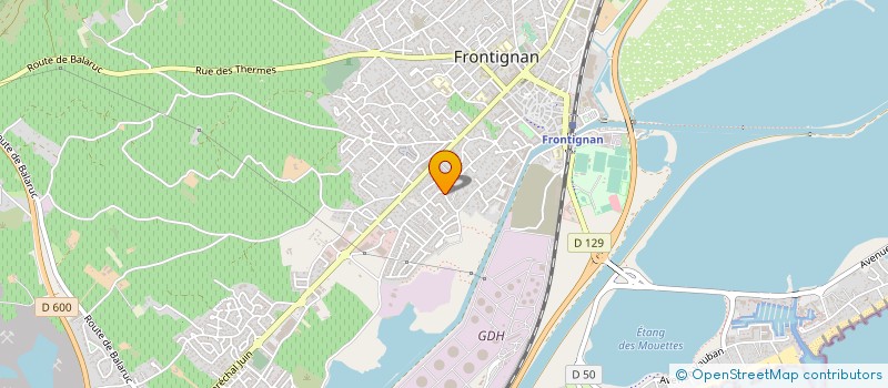 localisation de l'entreprise TOP MULTI-SERVICES à FRONTIGNAN