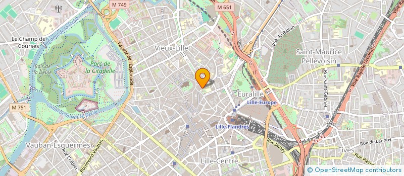 localisation de l'entreprise TOP OF ARTS 74 à LILLE
