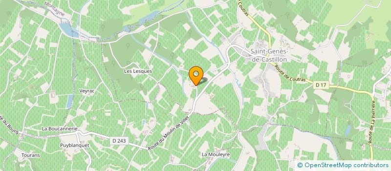 localisation de l'entreprise TOP PRESTATIONS SERVICES  SAINT-GENES-DE-CASTILLON