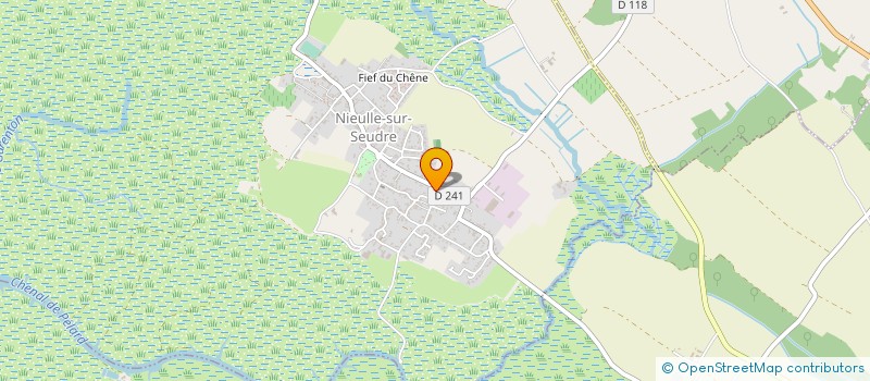 localisation de l'entreprise TOP SERVICES à NIEULLE-SUR-SEUDRE