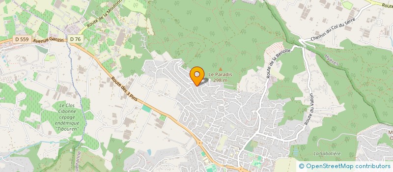 localisation de l'entreprise TOPLINK  CARQUEIRANNE